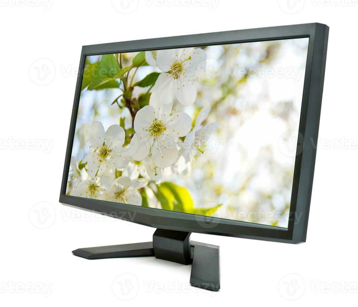 monitor y Cereza flores foto