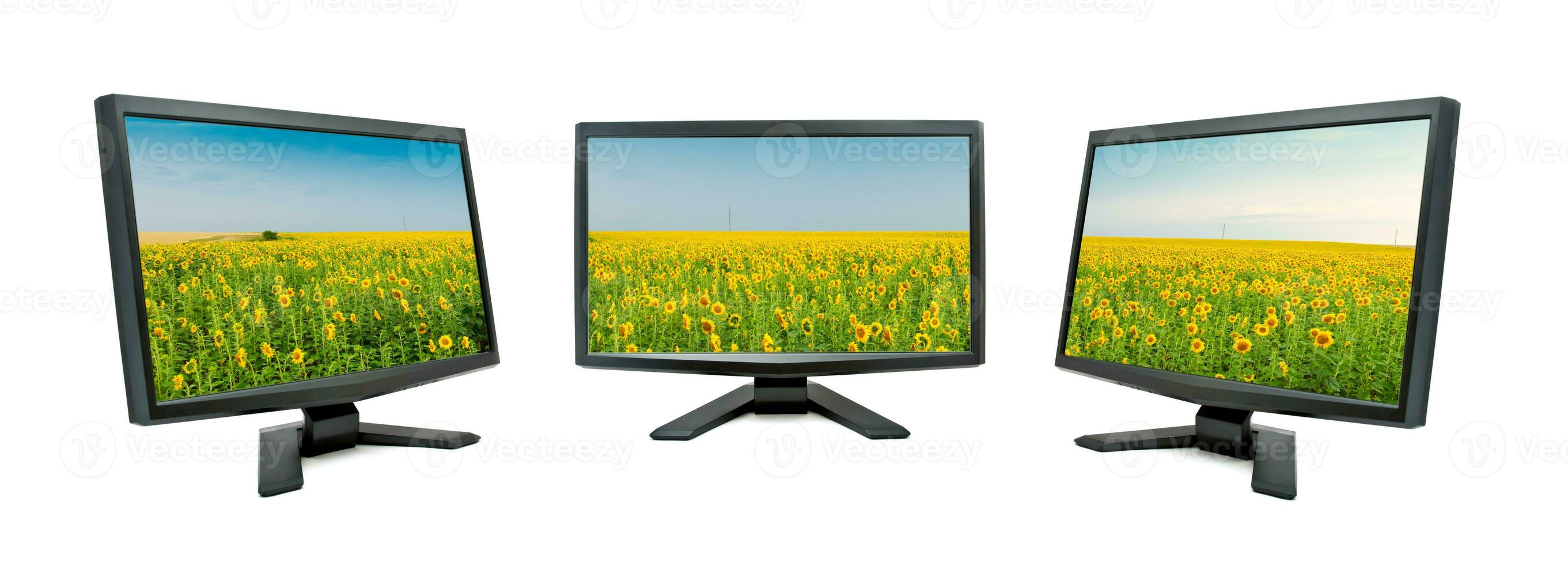 Monitors on white background photo