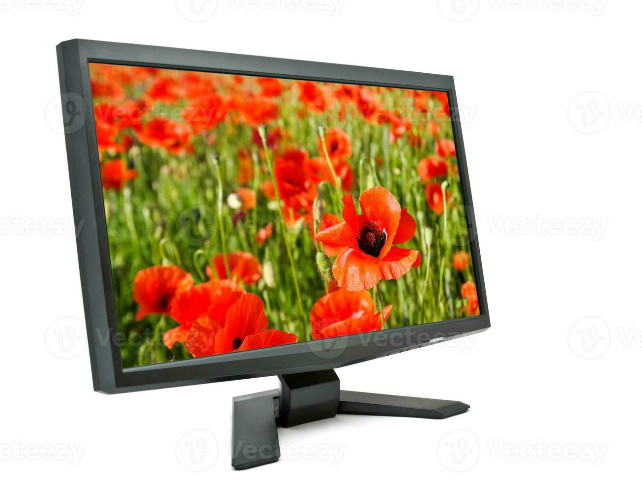 Monitor and poppies. photo