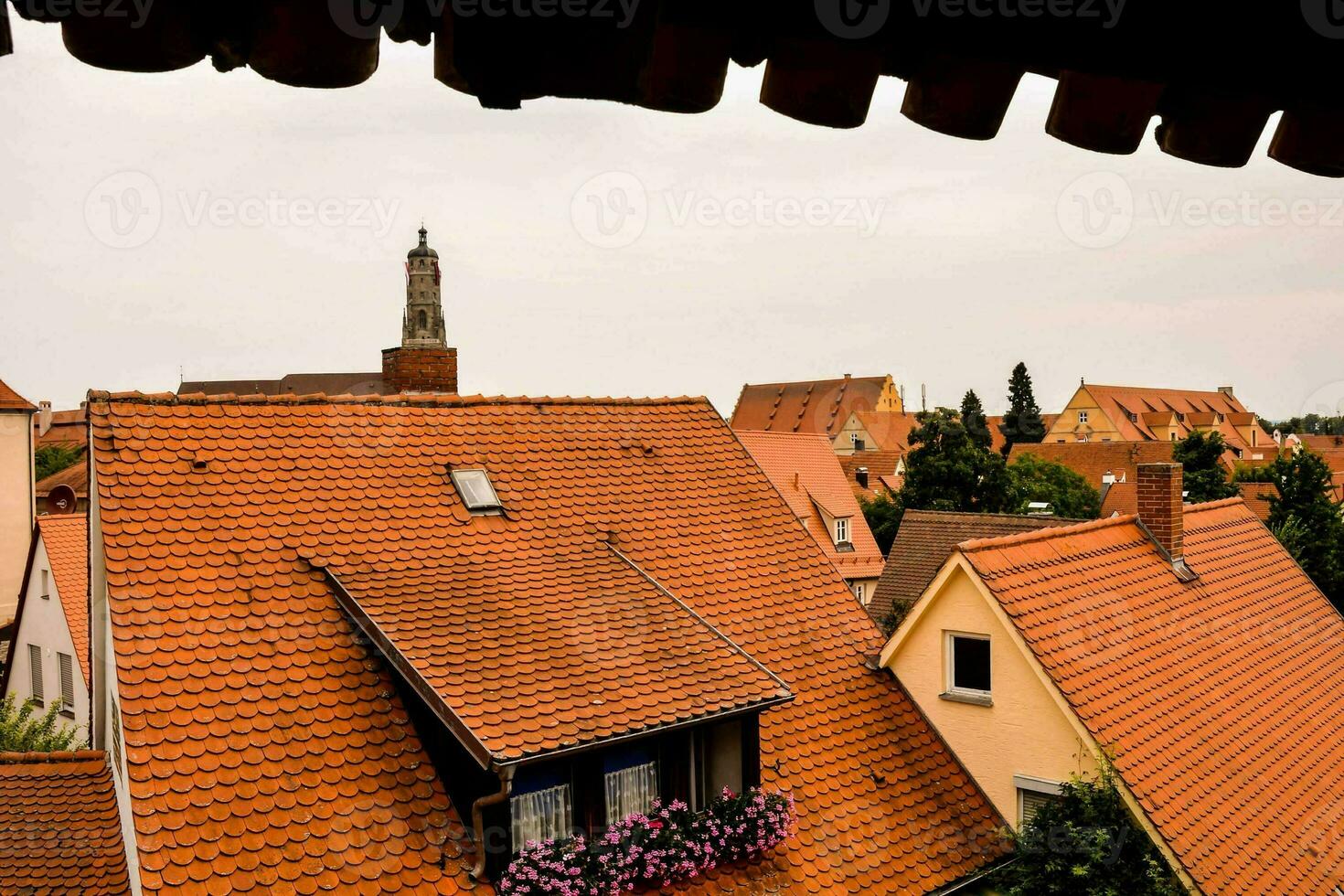 Buildings in the city photo