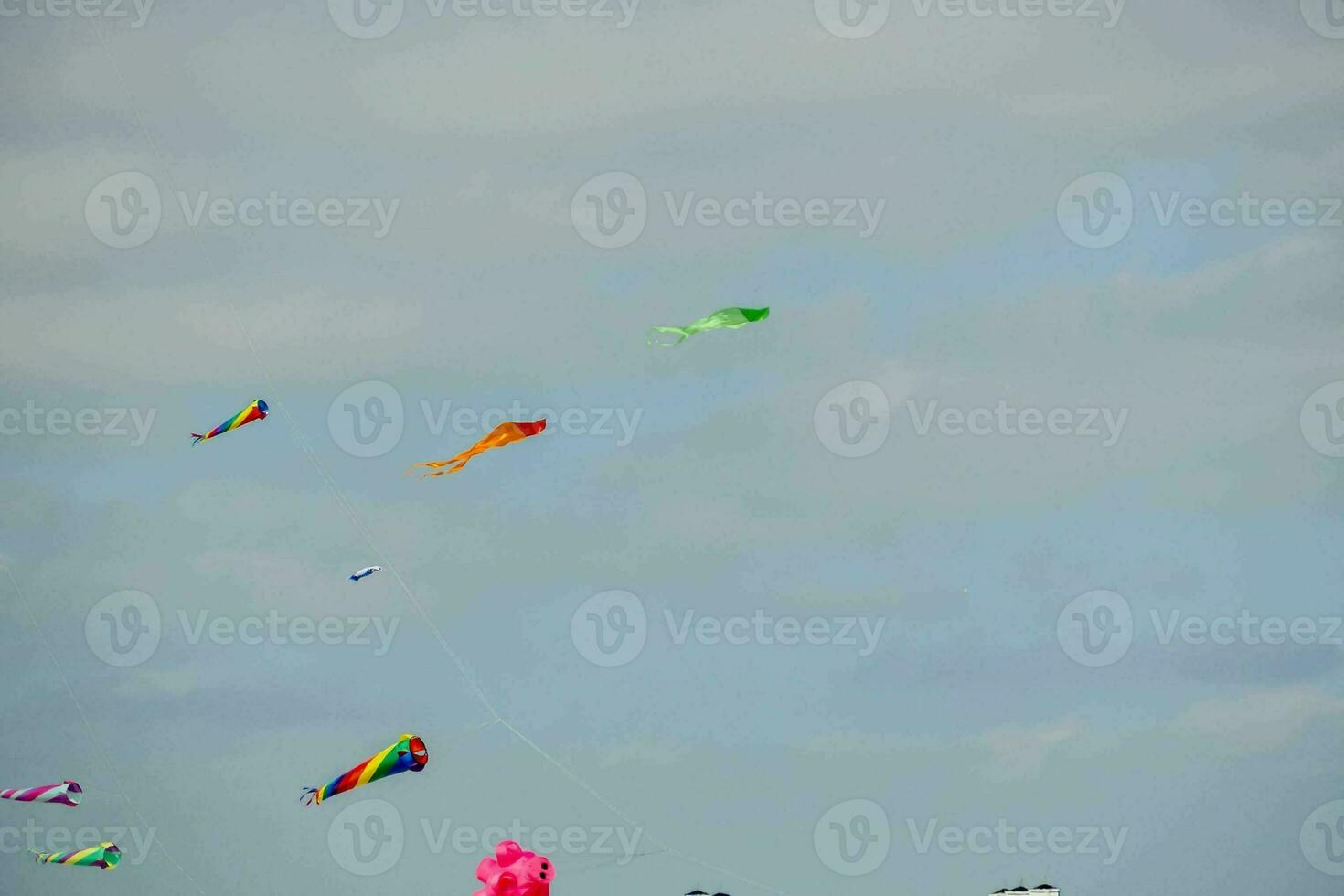 A kite in the sky photo