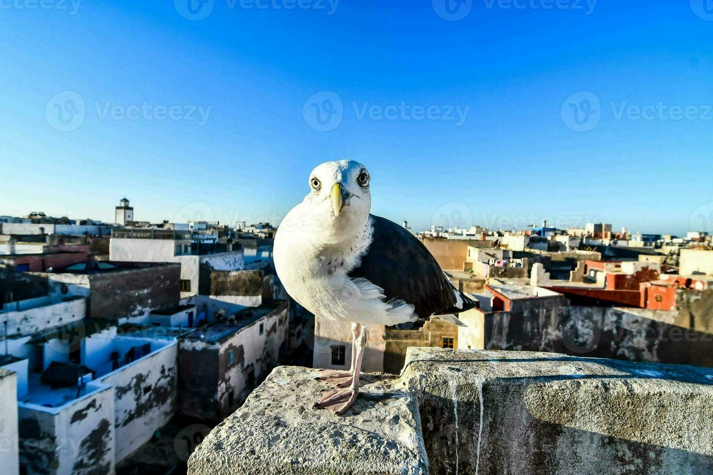 edificios en la ciudad foto