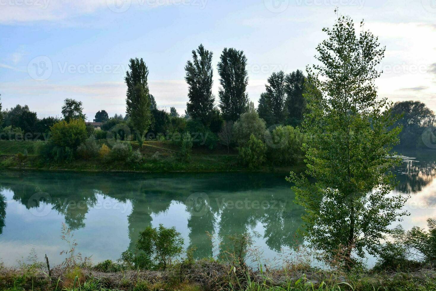 en el río curso foto