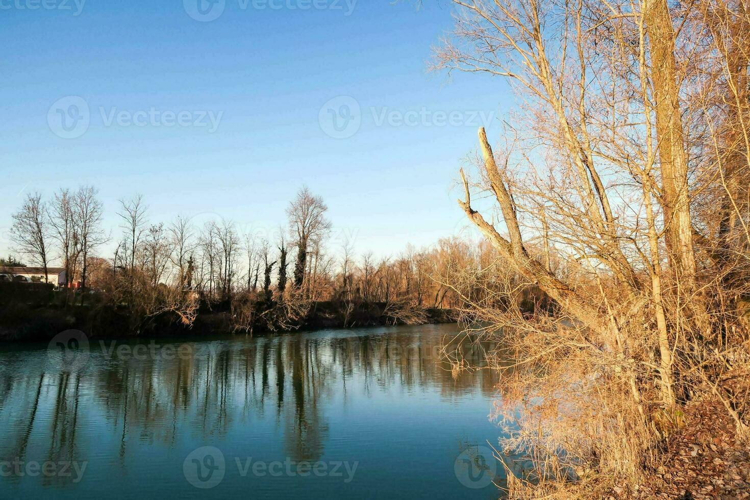 Scenic river view photo