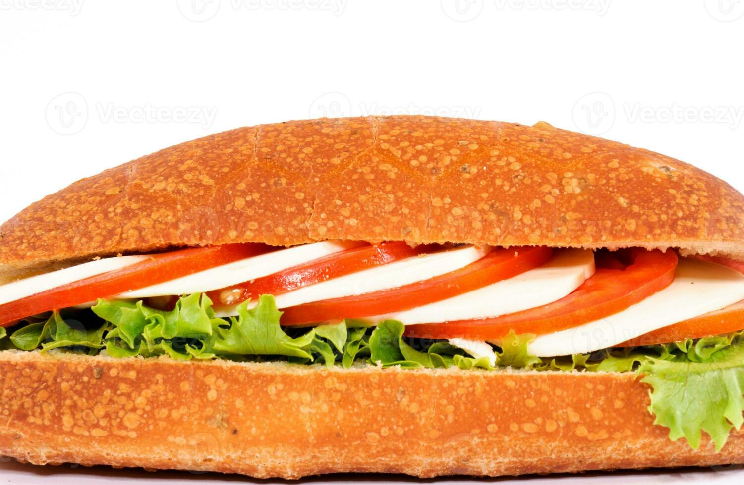 Capresa sandwich isolated photo