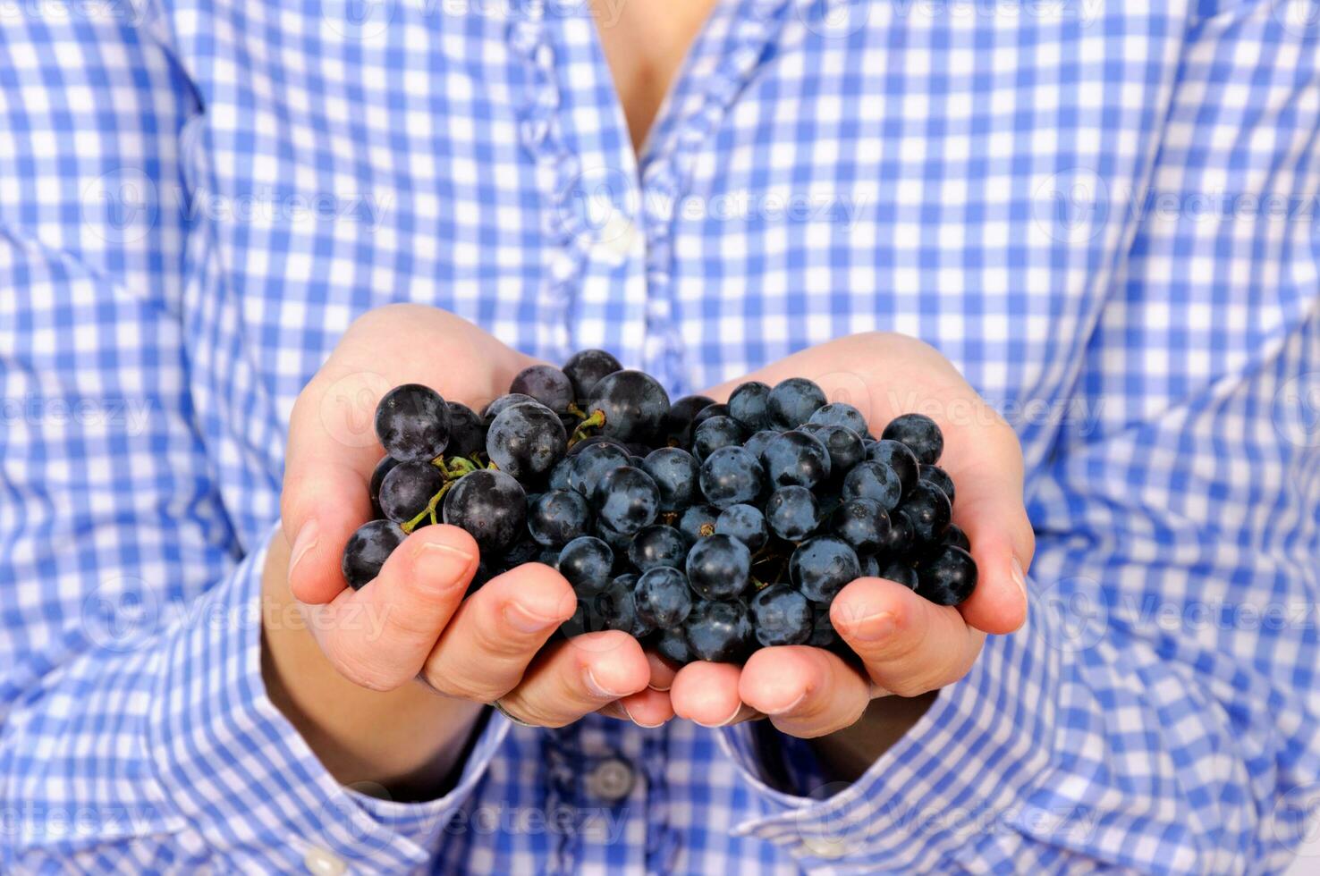 negro uvas en el manos foto