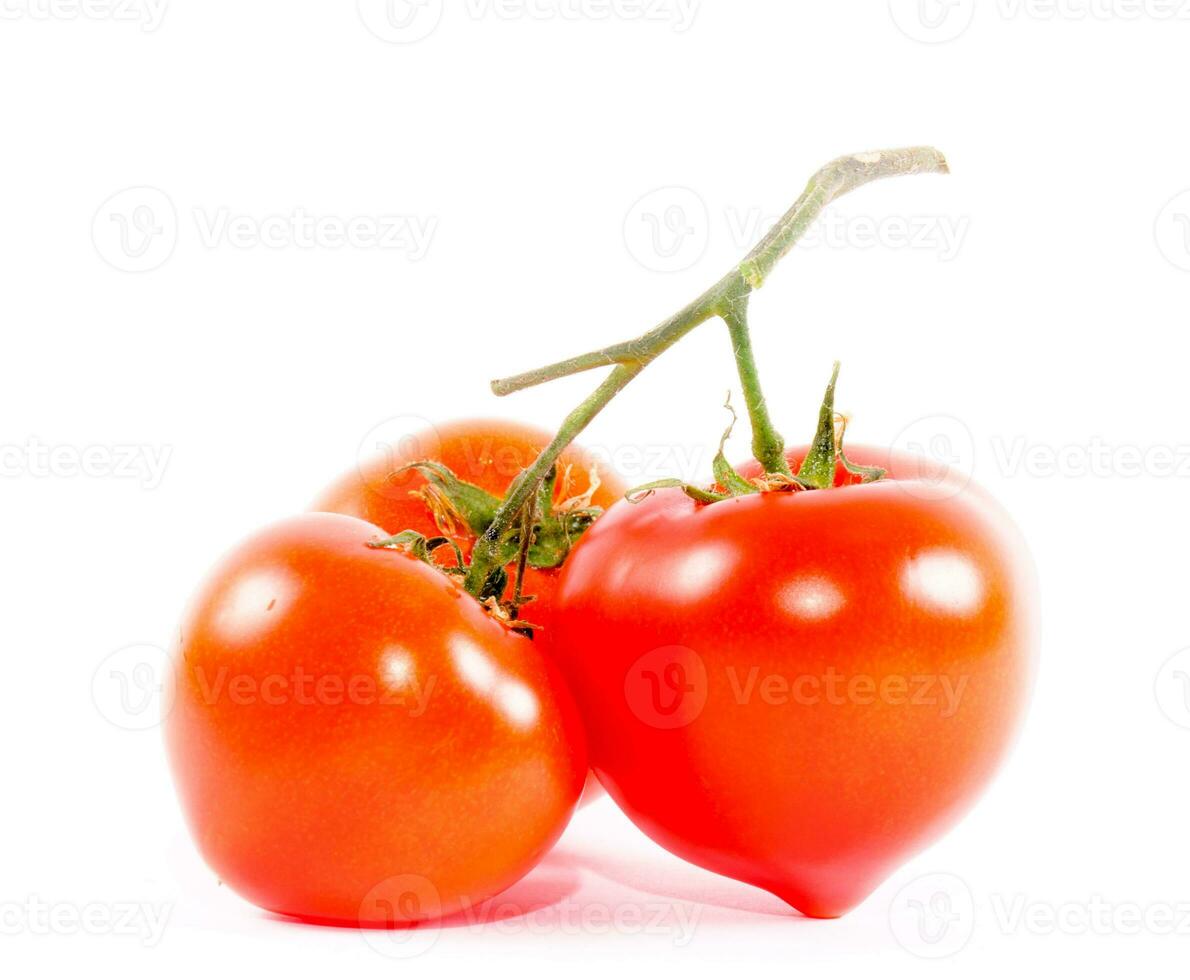 Red tomatoes isolated photo