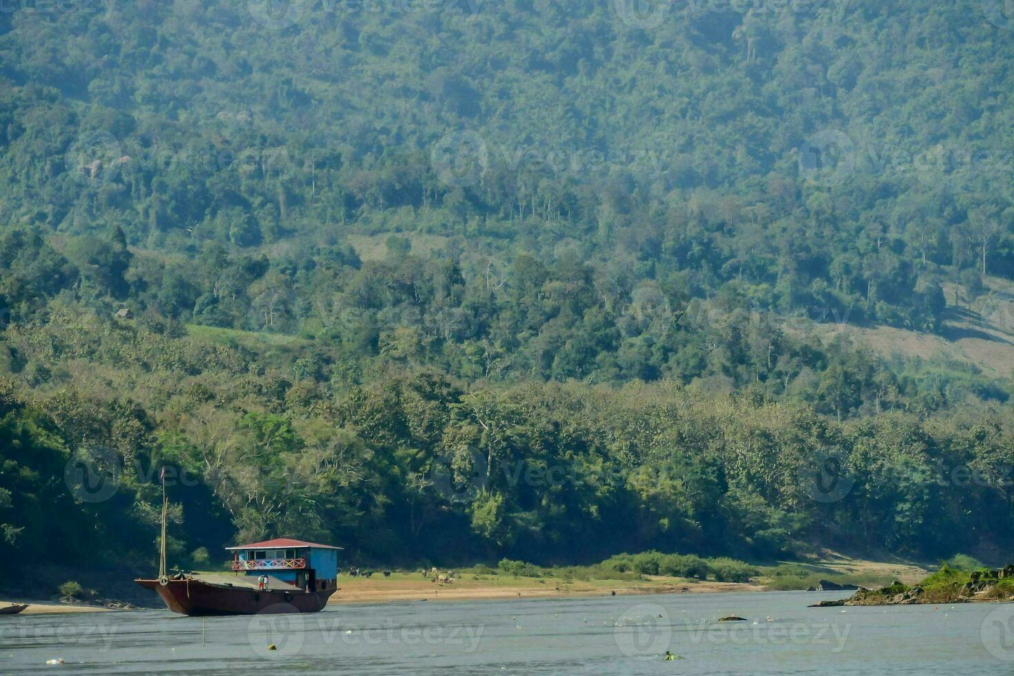 A journey on the river photo