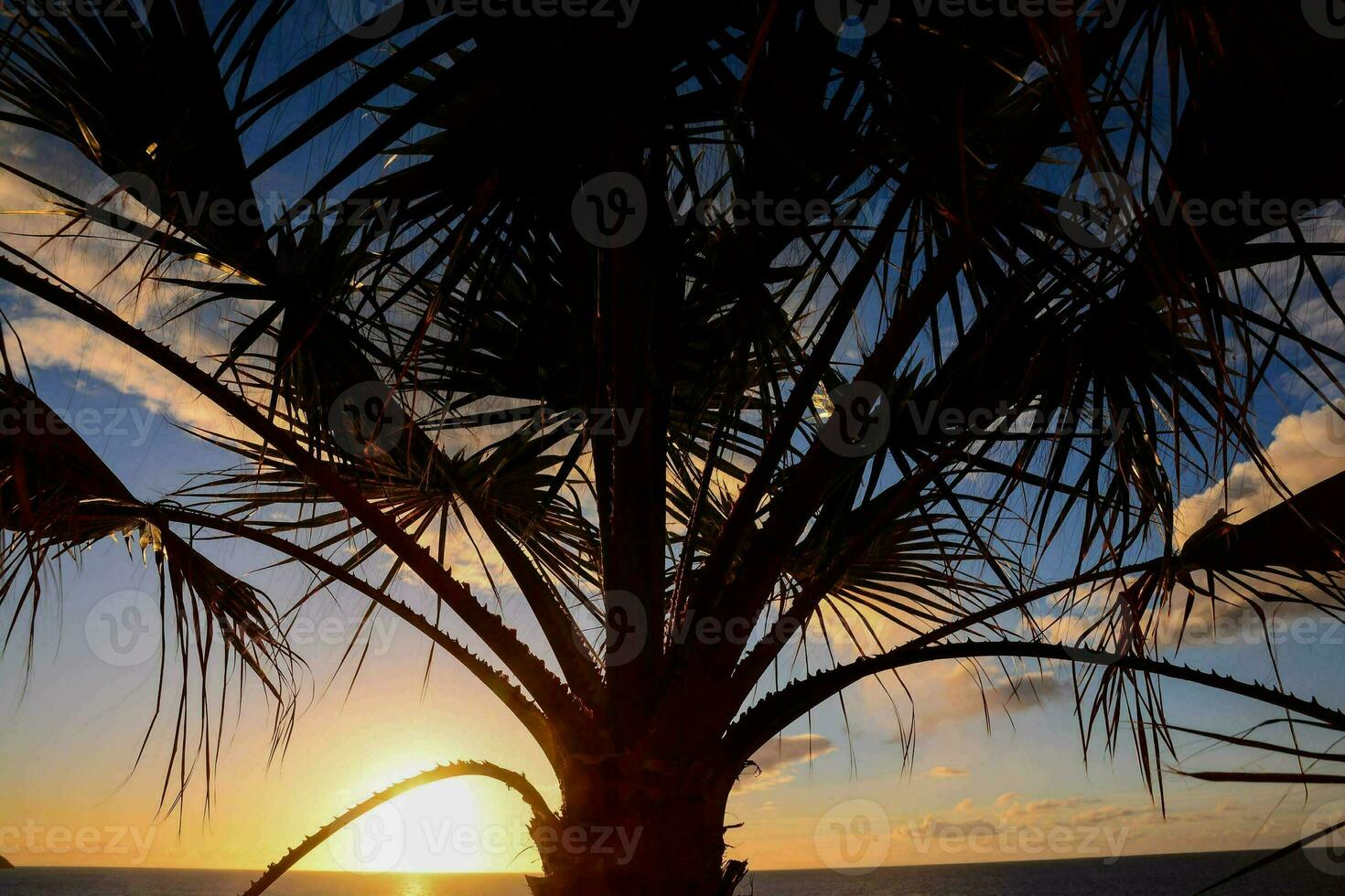 Scenic sunrise view photo