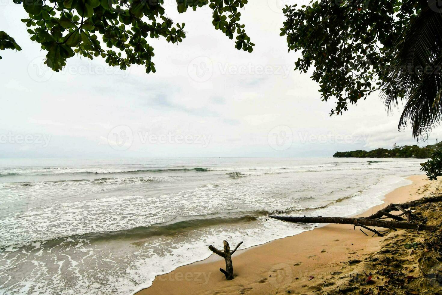 Scenic view of the shore photo