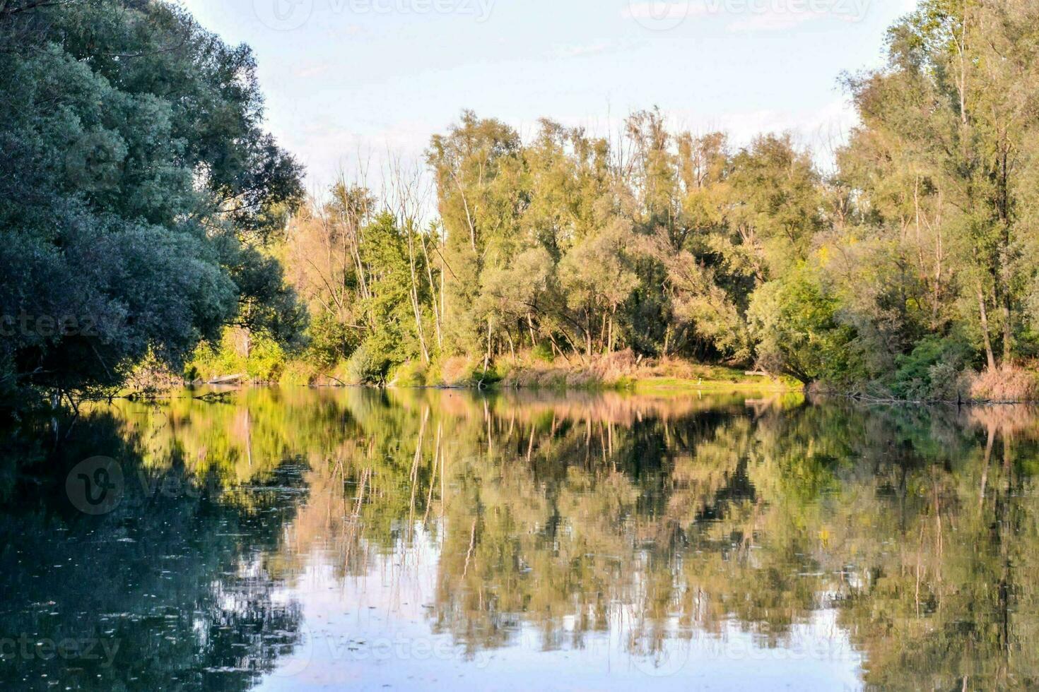 A view of the river photo