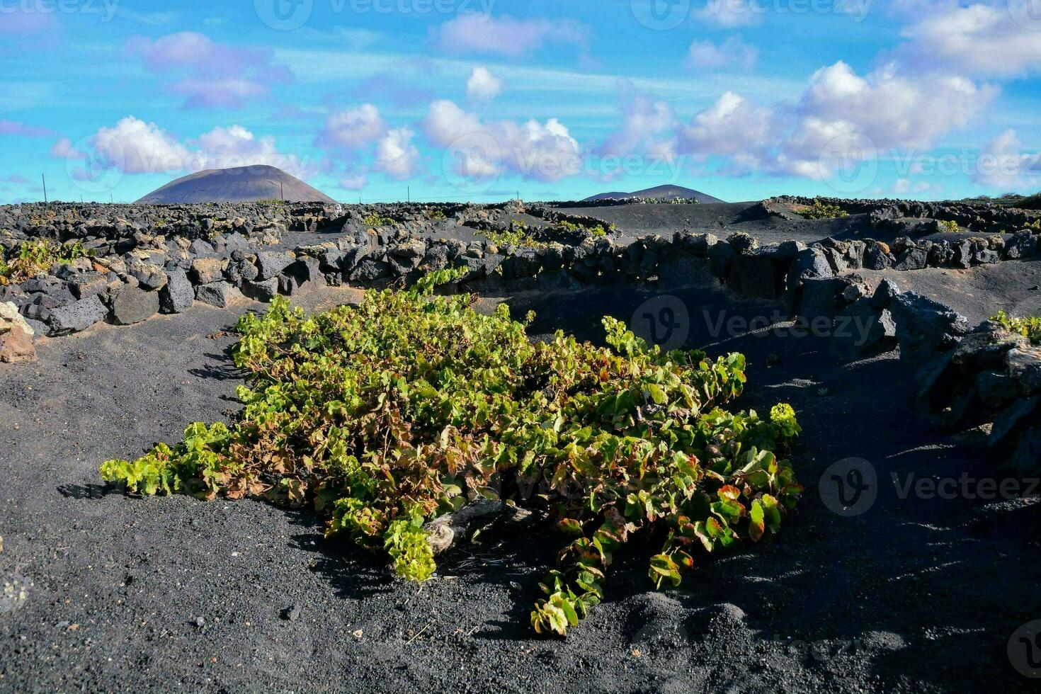 Gran Canaria volcanic landscape photo