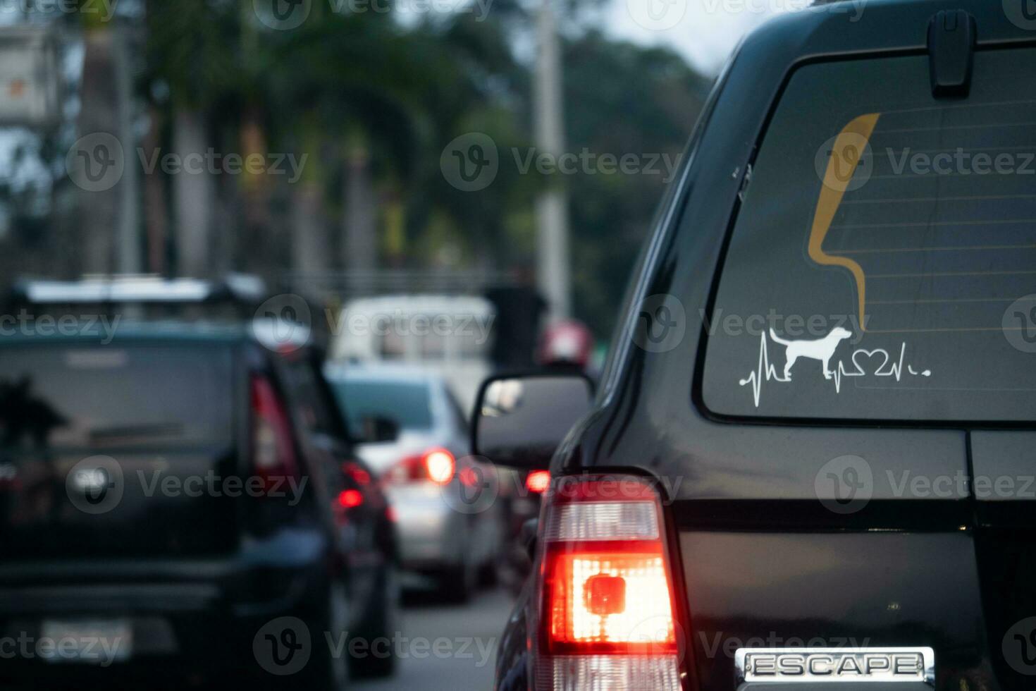perro pegatina en el medio de tráfico foto