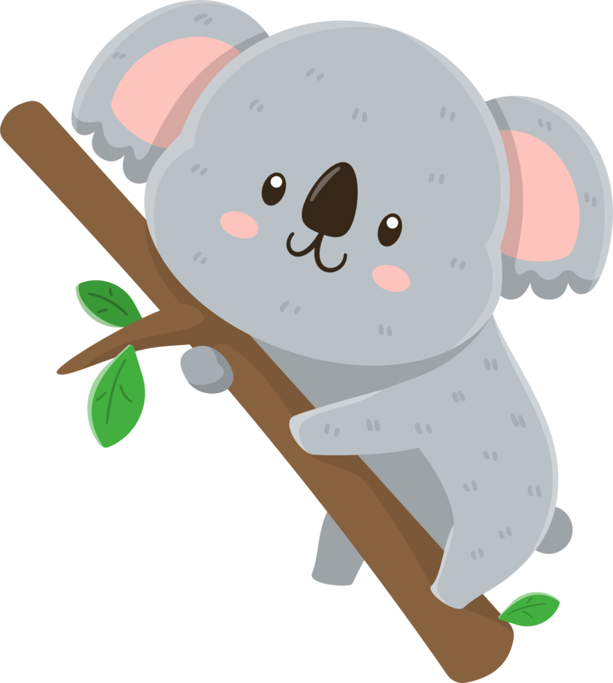 tekenfilm schattig koala karakter png