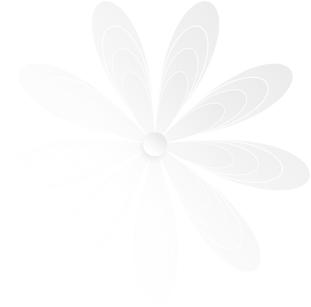 White Flower, Element of floral paper cut. Paper cut of flower shape. Icon of valentine day, gift, ornament, love and spring symbol. Illustration of floral. png