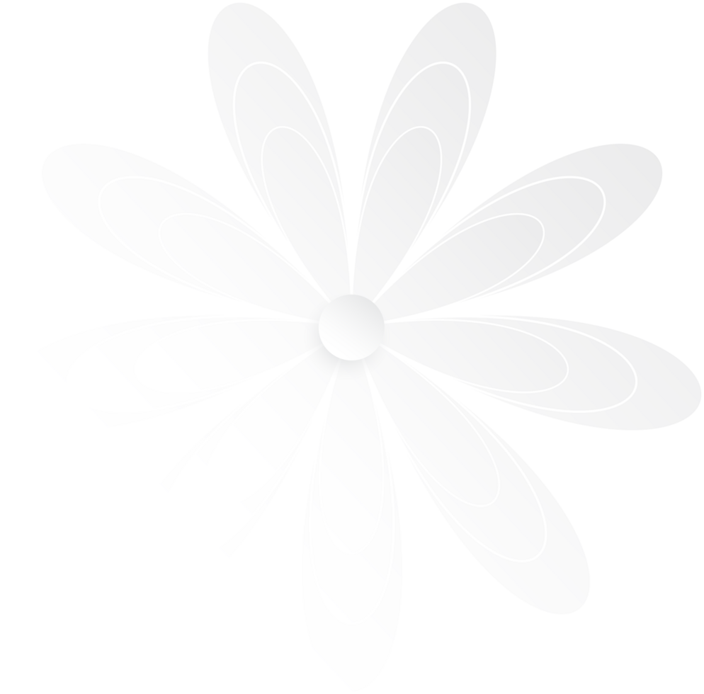 White Flower, Element of floral paper cut. Paper cut of flower shape. Icon of valentine day, gift, ornament, love and spring symbol. Illustration of floral. png