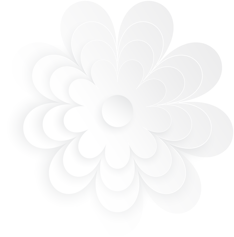 White Flower, Element of floral paper cut. Paper cut of flower shape. Icon of valentine day, gift, ornament, love and spring symbol. Illustration of floral. png