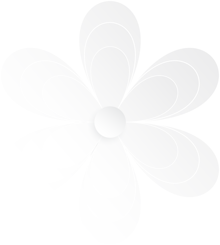 White Flower, Element of floral paper cut. Paper cut of flower shape. Icon of valentine day, gift, ornament, love and spring symbol. Illustration of floral. png
