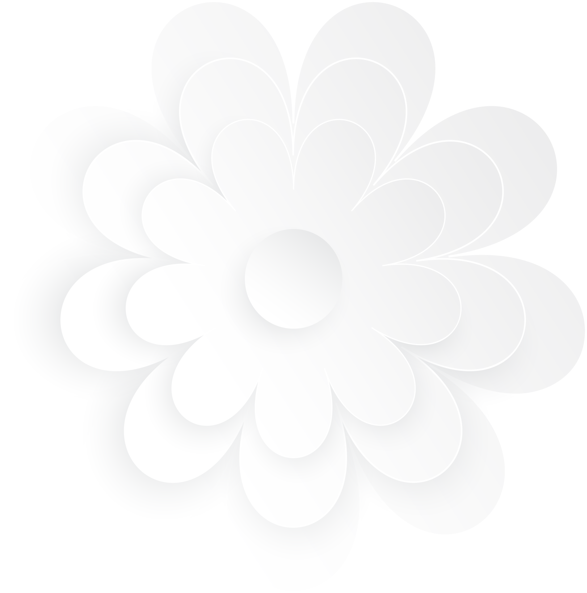 White Flower, Element of floral paper cut. Paper cut of flower shape. Icon  of valentine day, gift, ornament, love and spring symbol. Illustration of  floral. 23282945 PNG