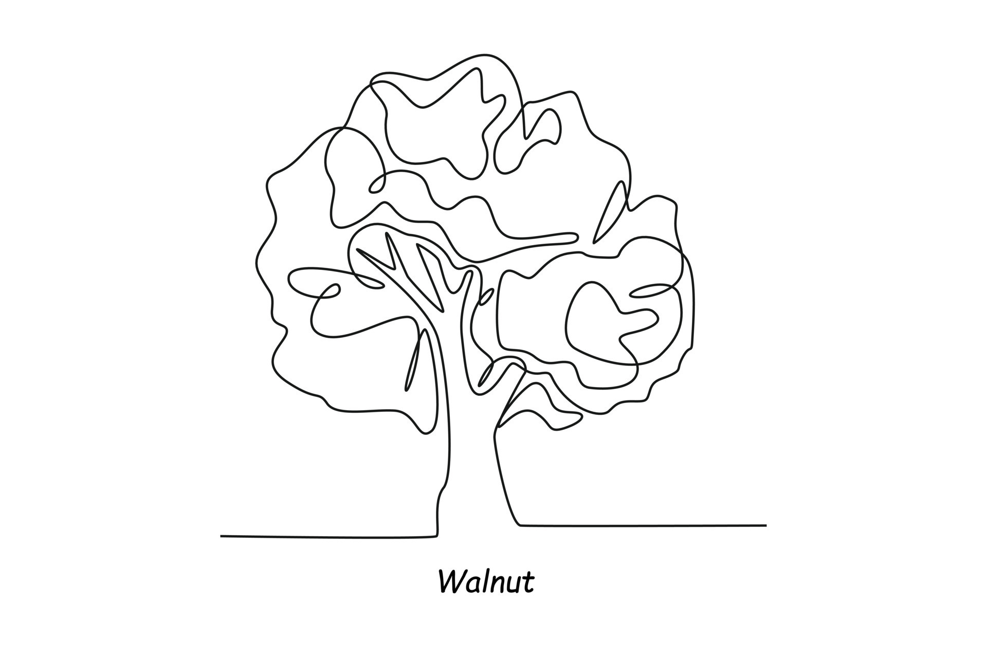 Single one line drawing walnut tree. Tree concept. Continuous line draw design graphic vector
