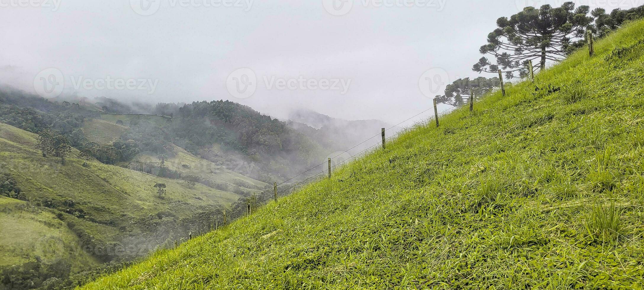 view of the mountains of minas Gerais Brazil photo