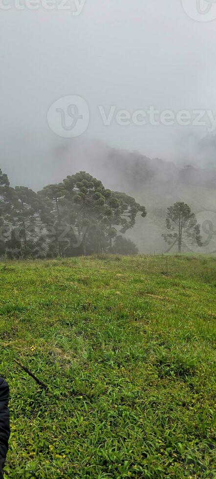 view of the mountains of minas Gerais Brazil photo