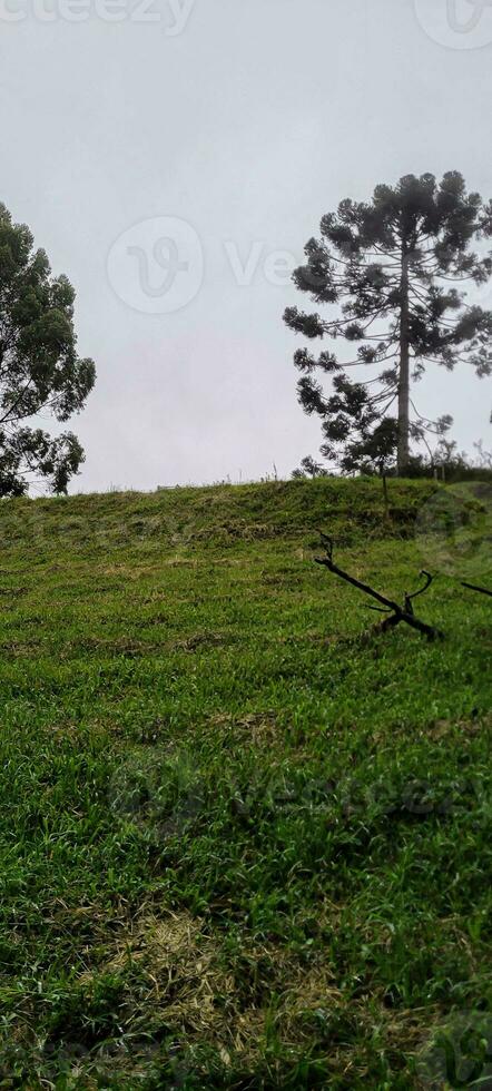 view of the mountains of minas Gerais Brazil photo