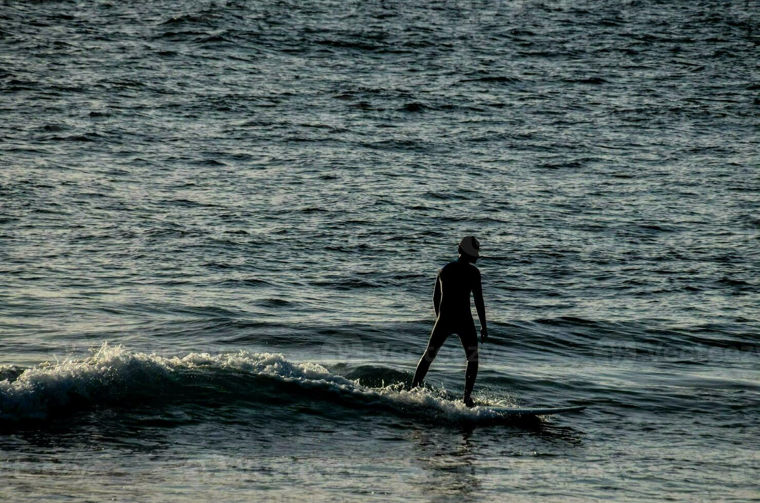 People surfing in the sea photo