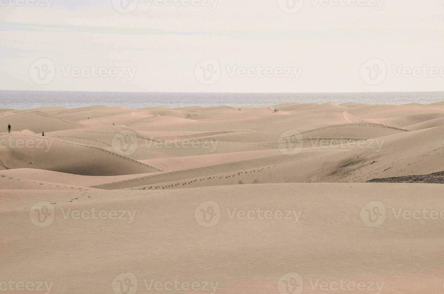 Beach sand dunes photo