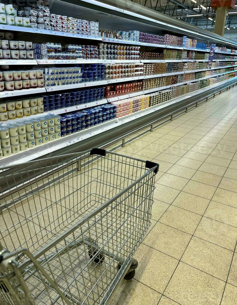 Shopping trolley at the counter with dairy products in the supermarket photo