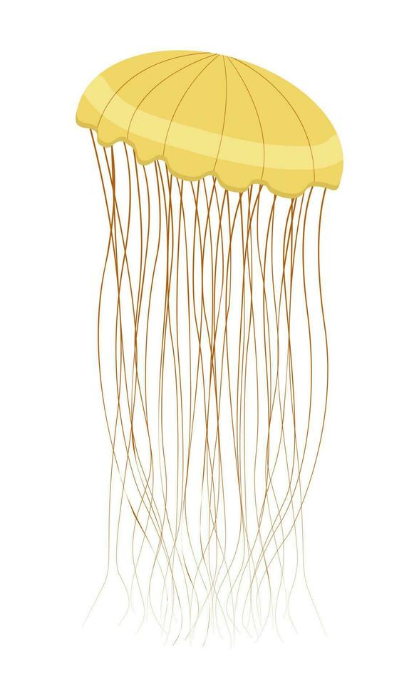 sea jellyfish with long tentacles vector
