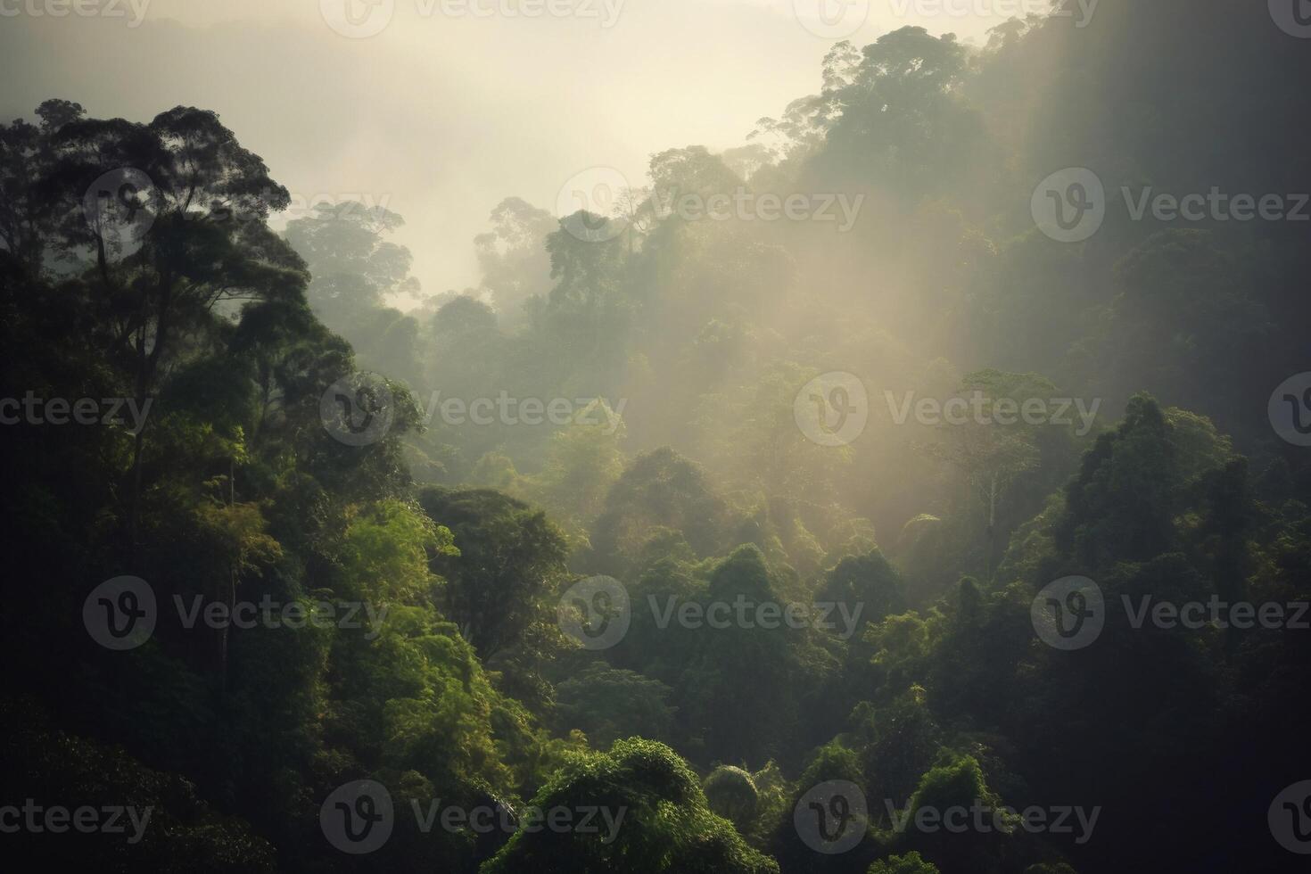 Morning light in the forest AI Generate photo
