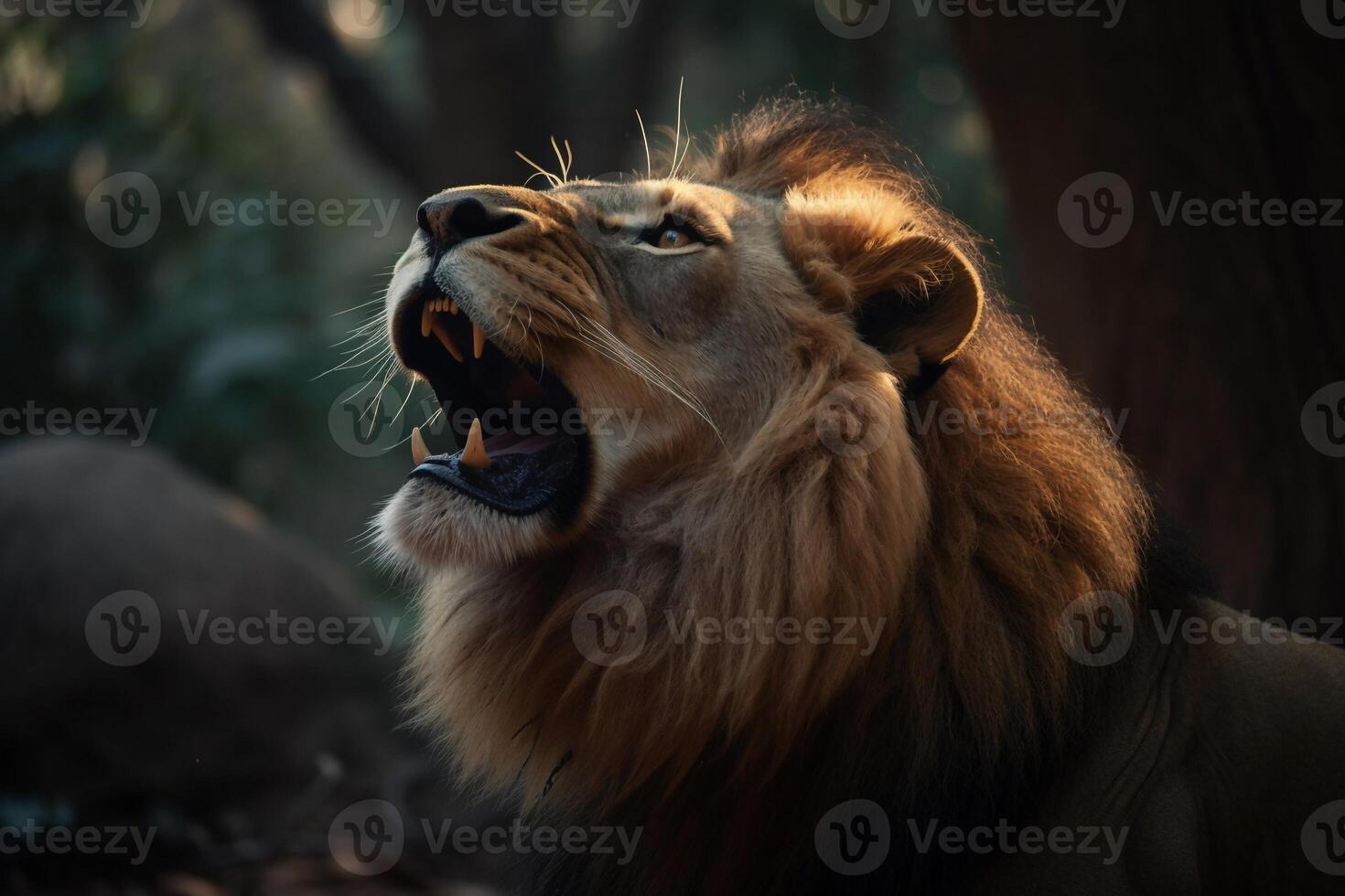 Portrait lion on the forest photo