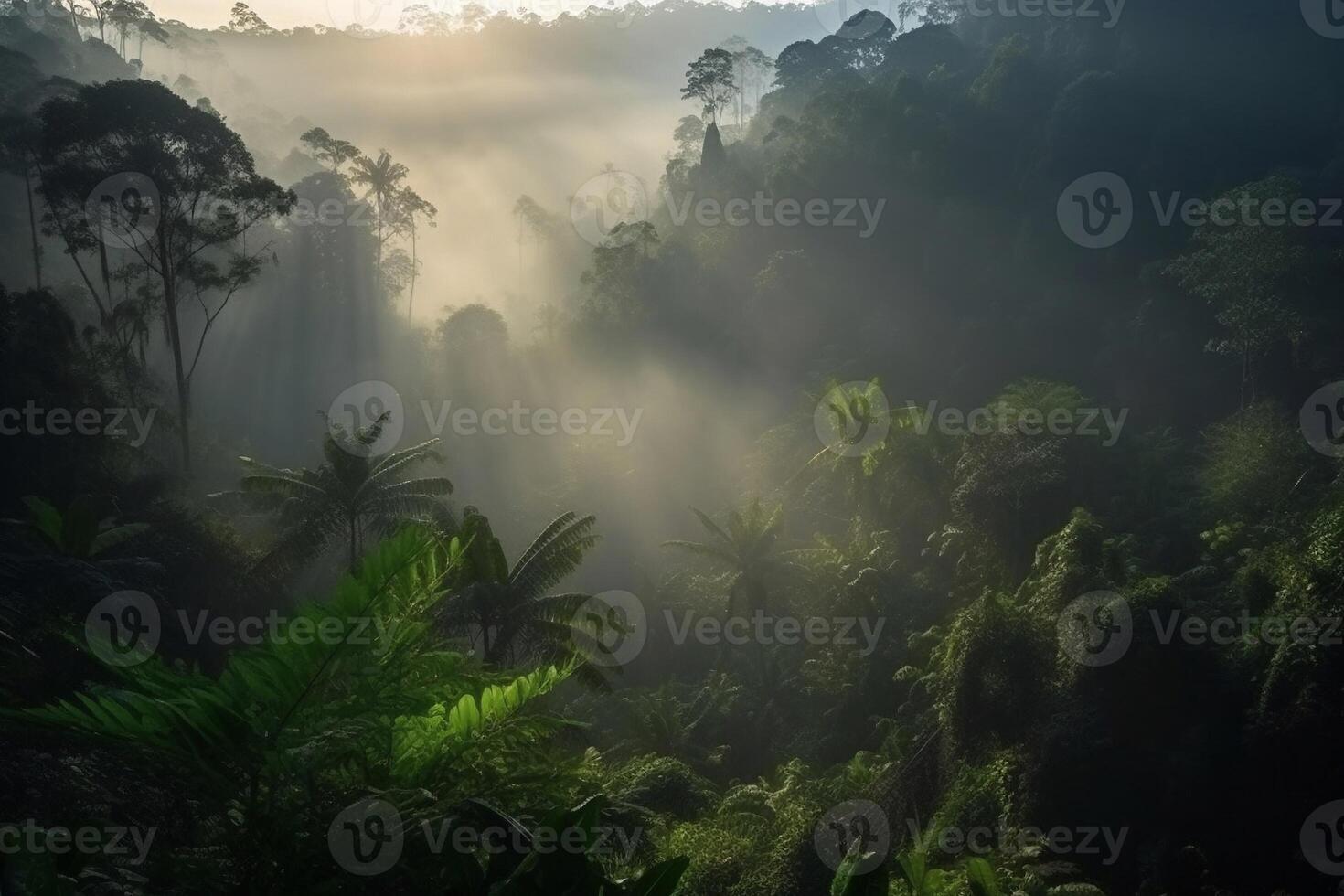 Morning light in the forest AI Generate photo