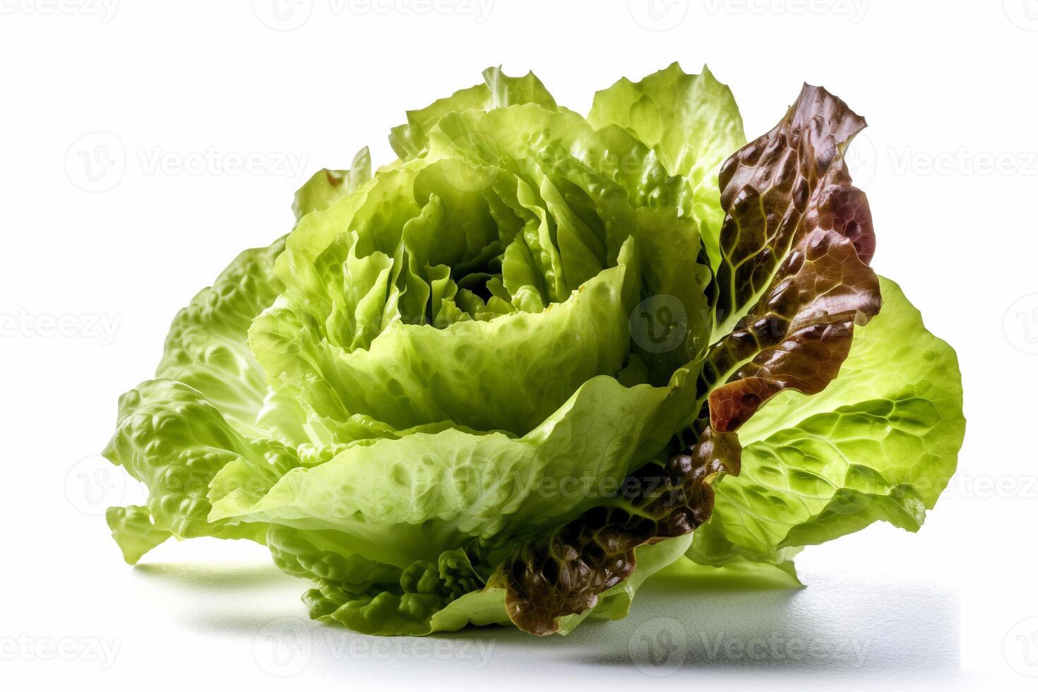 fresh lettuce isolated on white AI Generate photo