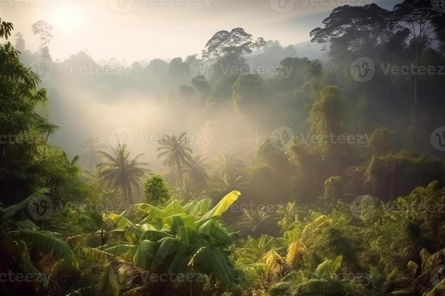 Morning light in the forest AI Generate photo