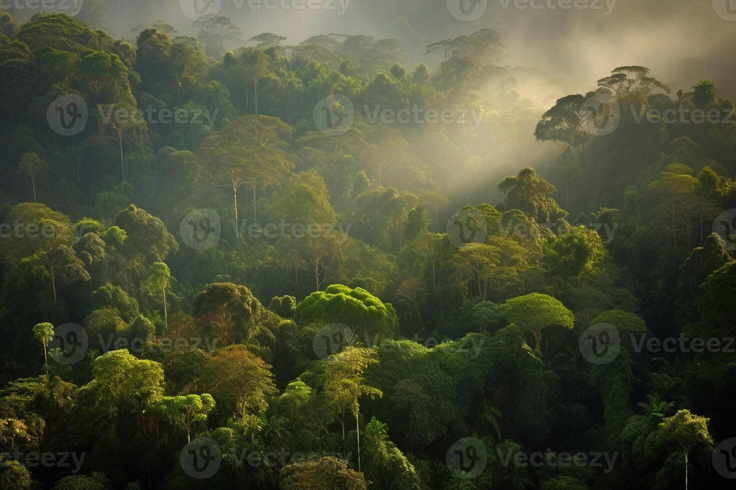 Morning in the forest AI Generate photo
