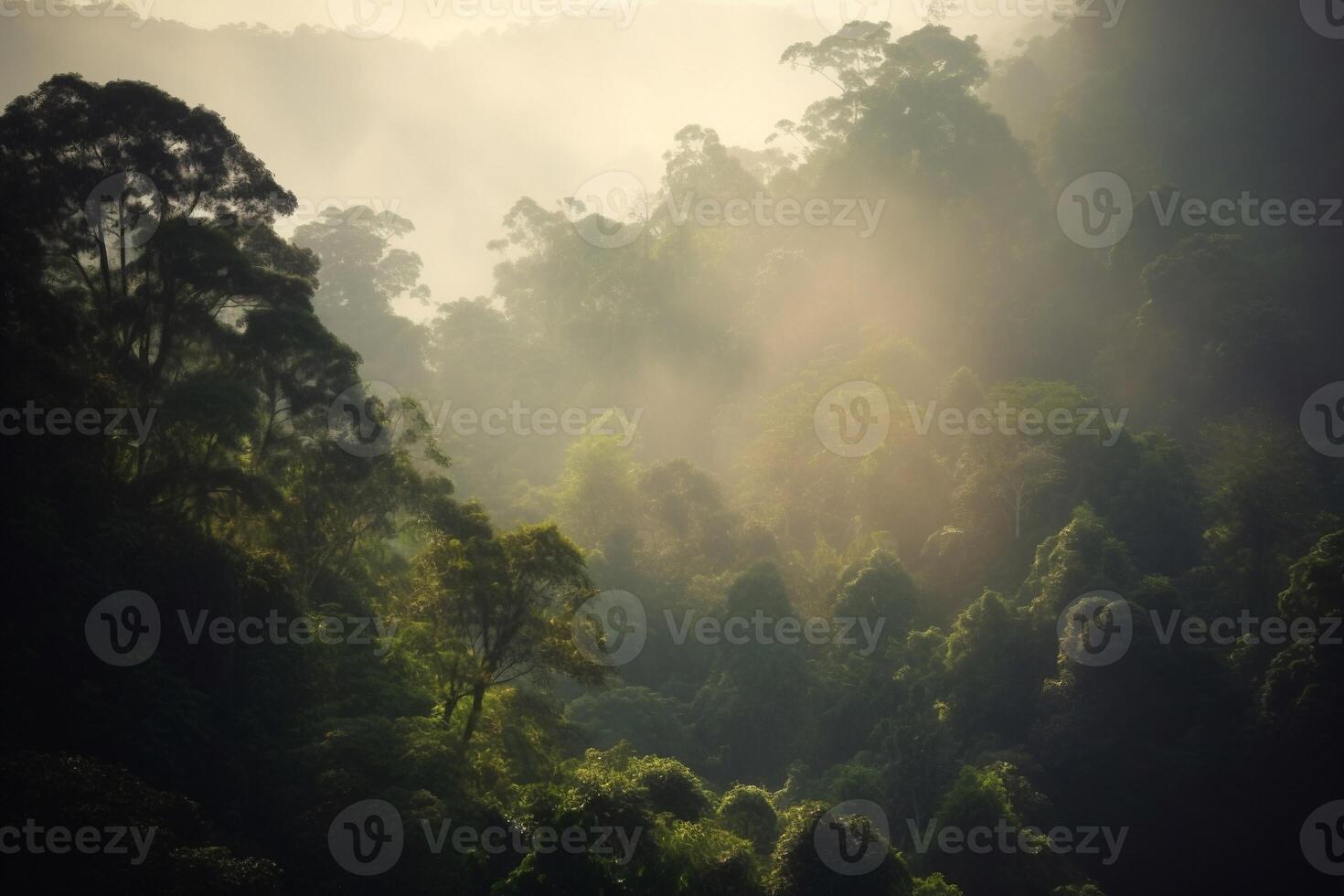 Morning light in the forest AI Generate photo