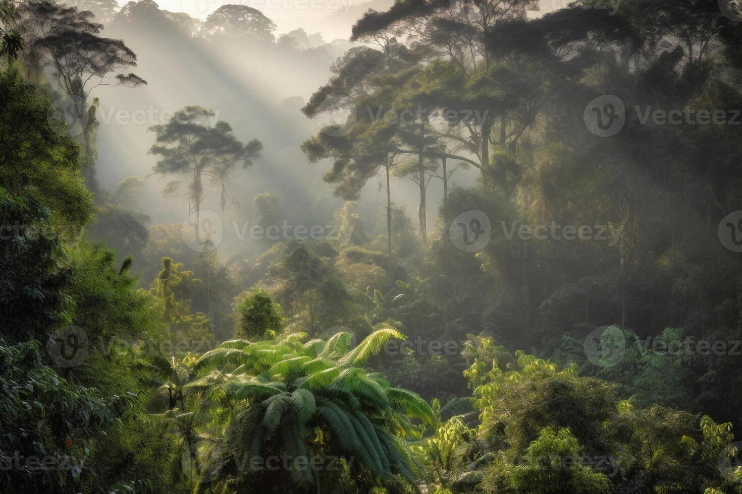 Morning in the forest AI Generate photo