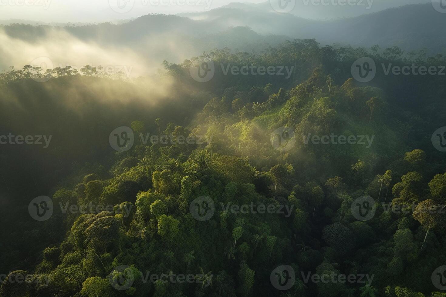 Morning in the forest AI Generate photo