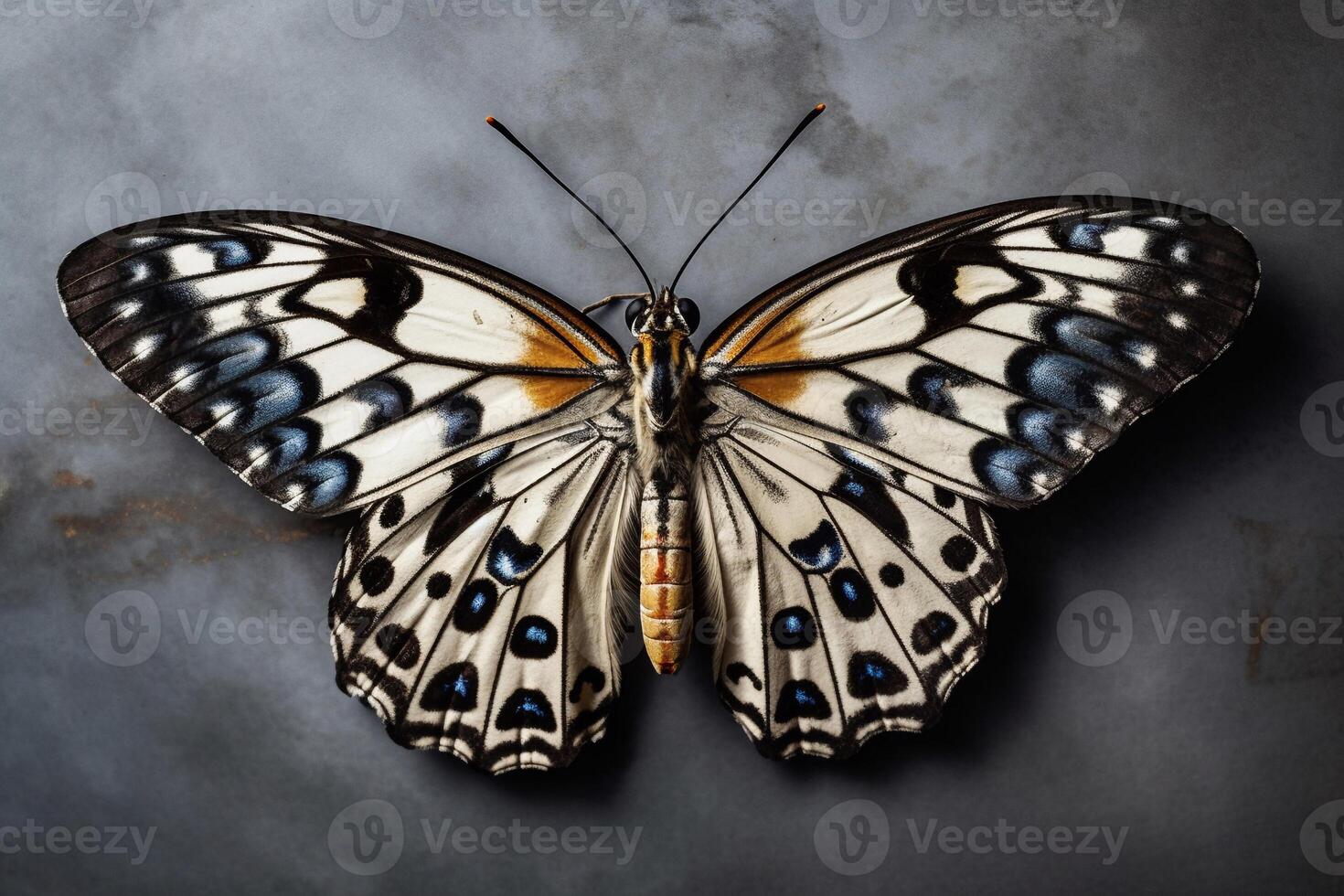 Portrait butterfly on the flower AI Generate photo