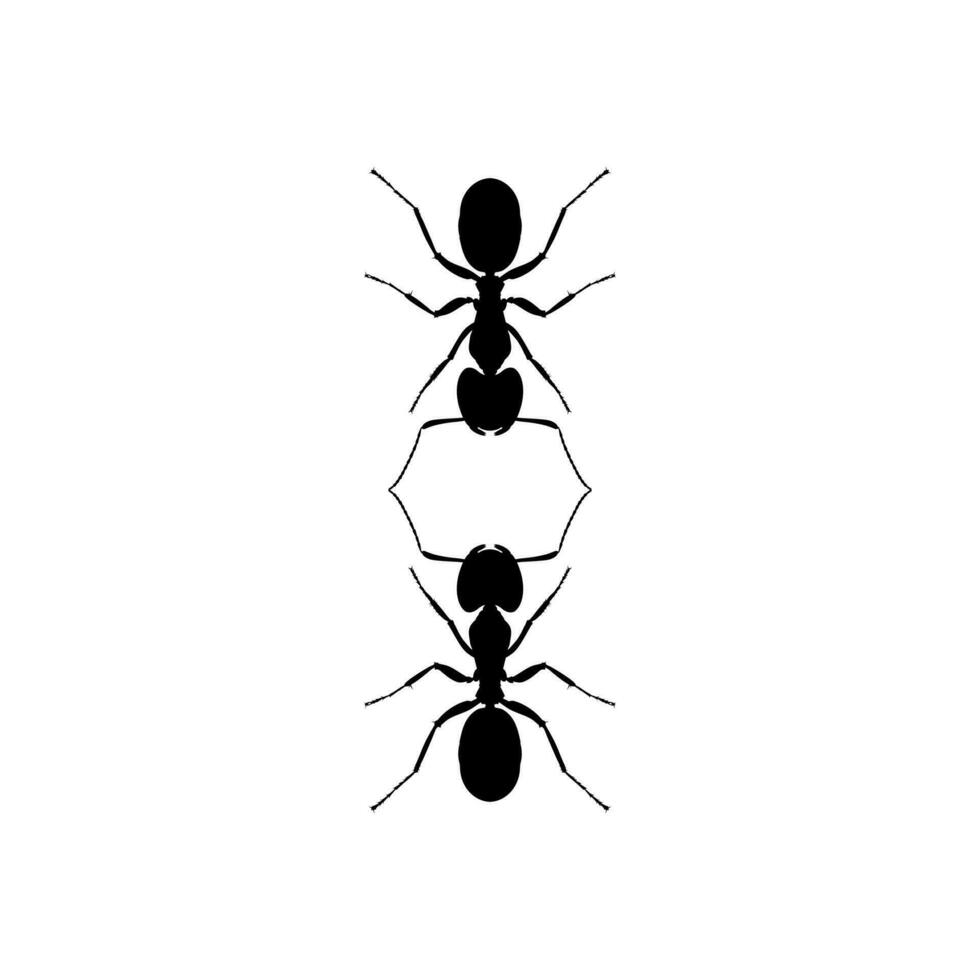 Pair of the Ant Silhouette for Art Illustration, Logo, Pictogram, Website, or Graphic Design Element. Vector Illustration