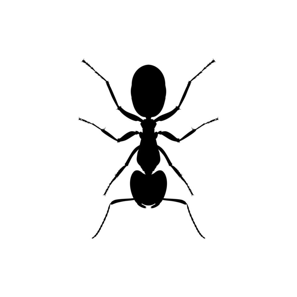 Ant Silhouette for Art Illustration, Logo, Pictogram, Website, or Graphic Design Element. Vector Illustration