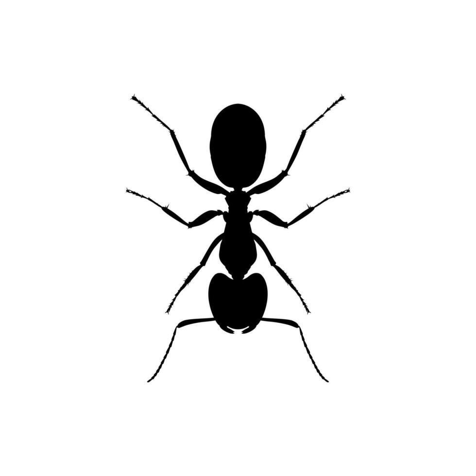 Ant Silhouette for Art Illustration, Logo, Pictogram, Website, or Graphic Design Element. Vector Illustration