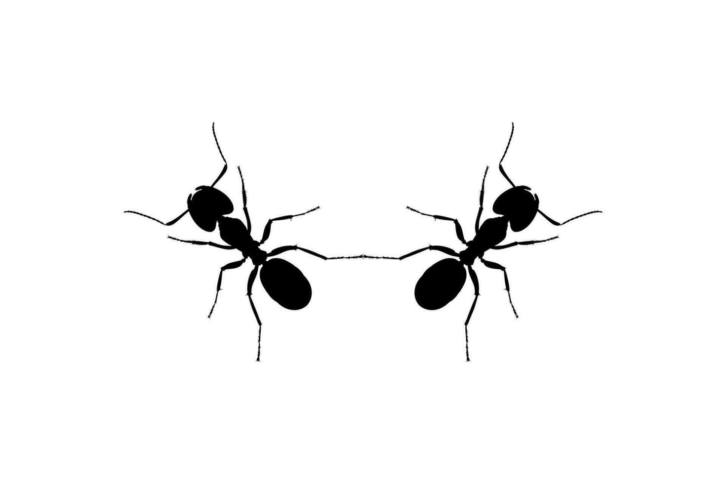 Pair of the Ant Silhouette for Art Illustration, Logo, Pictogram, Website, or Graphic Design Element. Vector Illustration