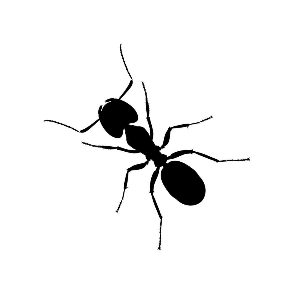 Ant Silhouette for Art Illustration, Logo, Pictogram, Website, or Graphic Design Element. Vector Illustration