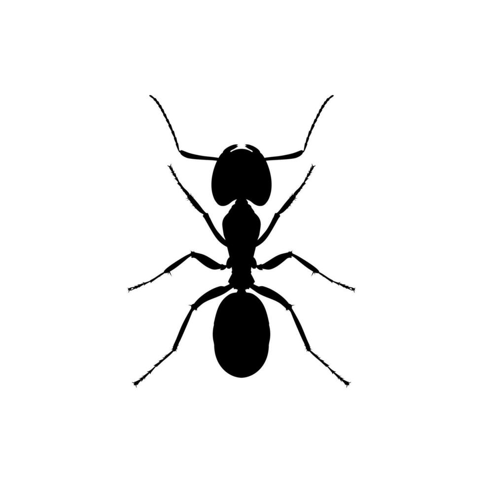 Ant Silhouette for Art Illustration, Logo, Pictogram, Website, or Graphic Design Element. Vector Illustration