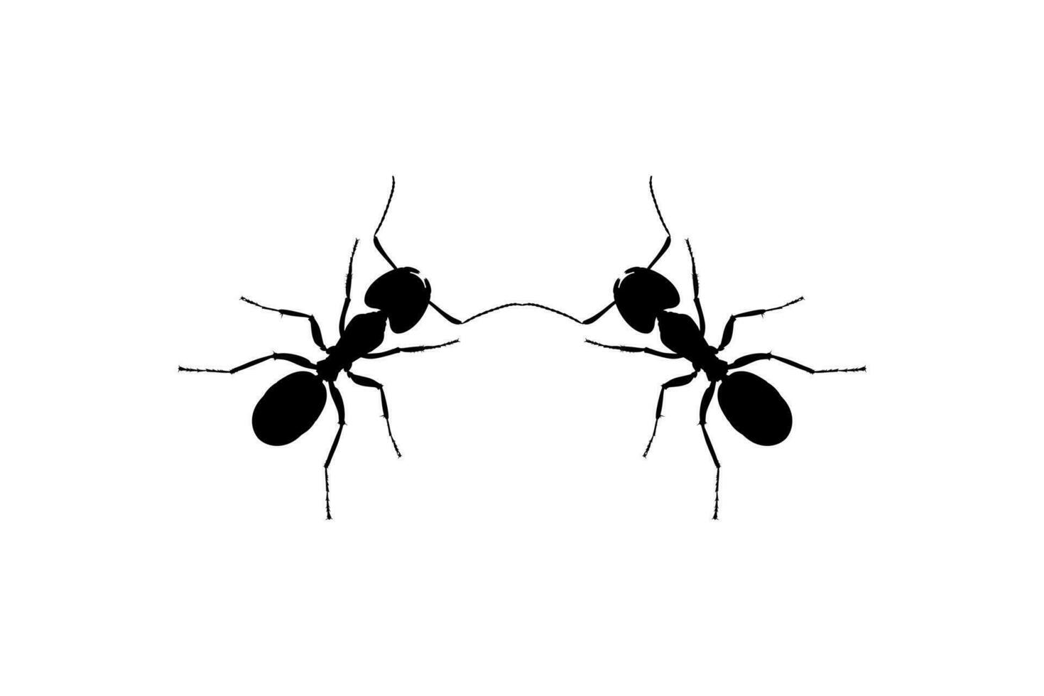 Pair of the Ant Silhouette for Art Illustration, Logo, Pictogram, Website, or Graphic Design Element. Vector Illustration