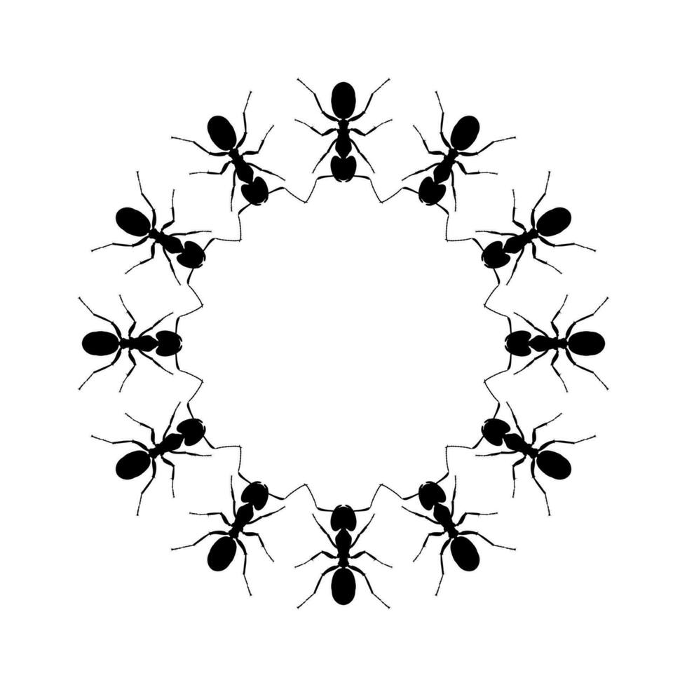 Colony of the Ant Silhouette Circle Shape Composition for Art Illustration, Logo, Pictogram, Website, or Graphic Design Element. Vector Illustration