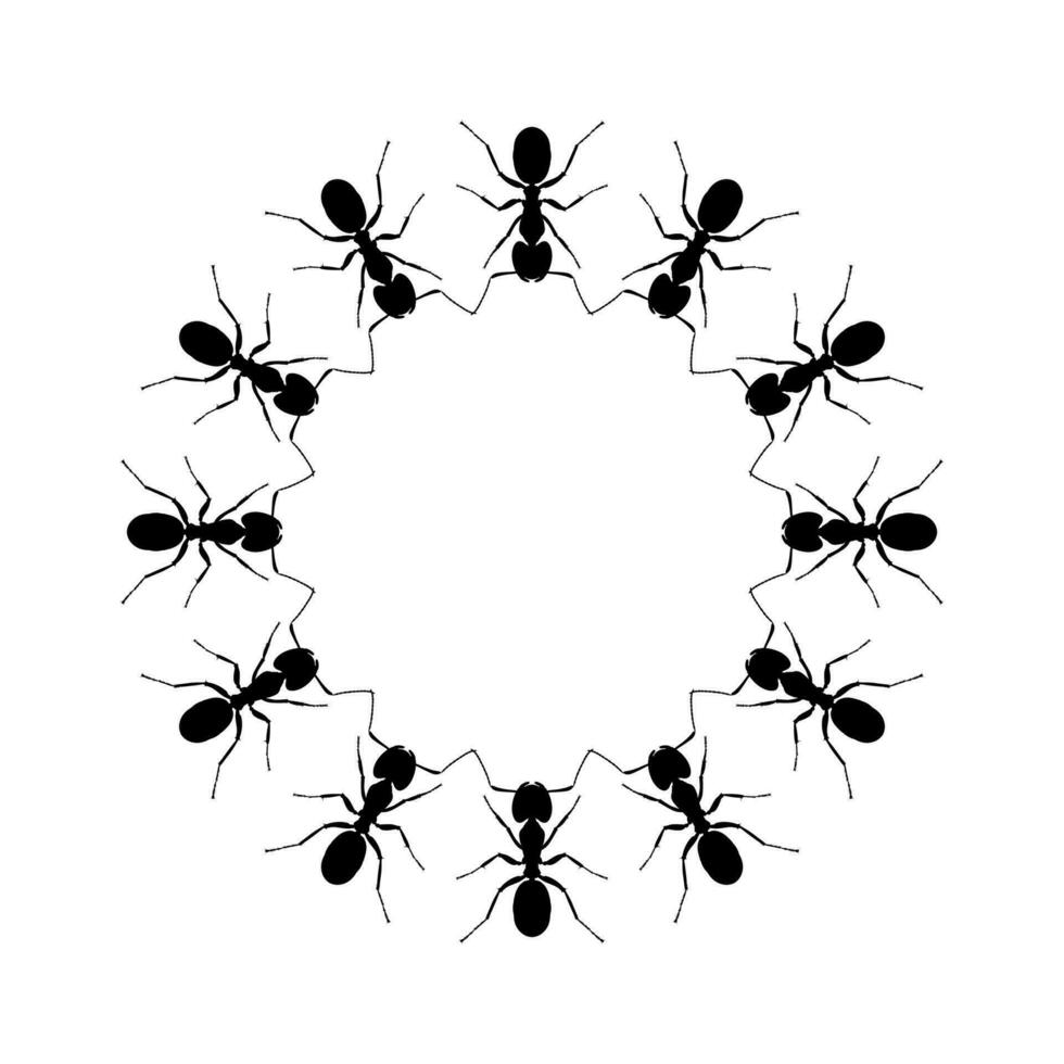 Colony of the Ant Silhouette Circle Shape Composition for Art Illustration, Logo, Pictogram, Website, or Graphic Design Element. Vector Illustration